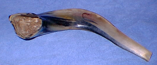 Small Shofar 
Photo